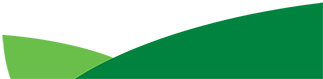 Illustrated Green Landscape